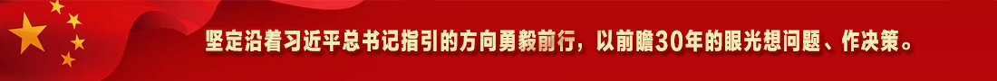 4.坚定沿着习近平总书记指引的方向勇毅前行，以前瞻30年的眼光想问题、作决策。